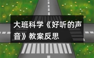 大班科學(xué)《好聽的聲音》教案反思