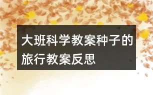 大班科學(xué)教案種子的旅行教案反思