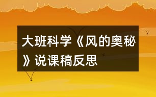 大班科學(xué)《風(fēng)的奧秘》說(shuō)課稿反思