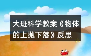 大班科學(xué)教案《物體的上拋下落》反思