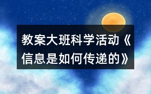 教案大班科學(xué)活動《信息是如何傳遞的》反思