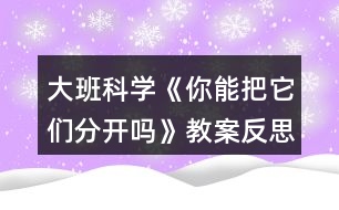 大班科學(xué)《你能把它們分開嗎》教案反思