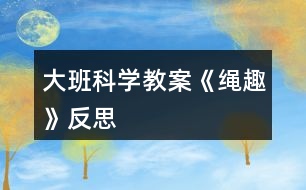 大班科學教案《繩趣》反思