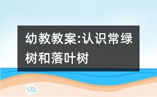 幼教教案:認識常綠樹和落葉樹