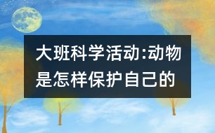 大班科學(xué)活動:動物是怎樣保護自己的