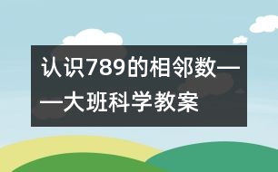 認(rèn)識7、8、9的相鄰數(shù)――大班科學(xué)教案