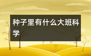 種子里有什么（大班科學）