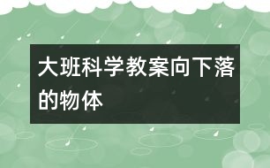 大班科學教案向下落的物體