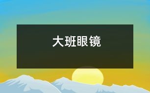 大班：眼鏡