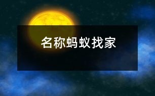 名稱：螞蟻找家