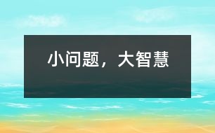 小問題，大智慧