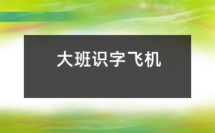 大班識字：飛機(jī)