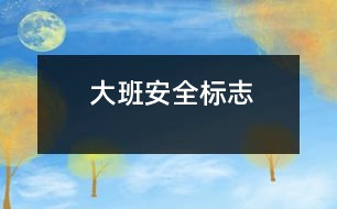 大班：安全標志