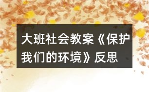 大班社會教案《保護我們的環(huán)境》反思