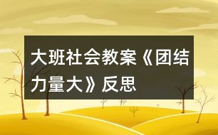 大班社會教案《團結力量大》反思