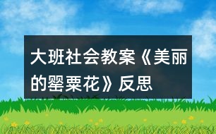 大班社會教案《美麗的罌粟花》反思