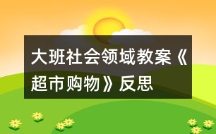 大班社會(huì)領(lǐng)域教案《超市購物》反思