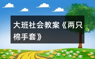 大班社會教案《兩只棉手套》