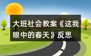 大班社會教案《這我眼中的春天》反思