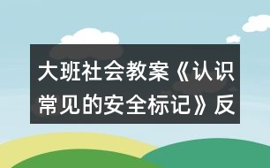 大班社會教案《認識常見的安全標記》反思