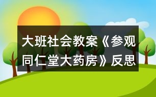 大班社會(huì)教案《參觀(guān)同仁堂大藥房》反思