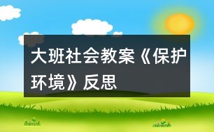 大班社會(huì)教案《保護(hù)環(huán)境》反思