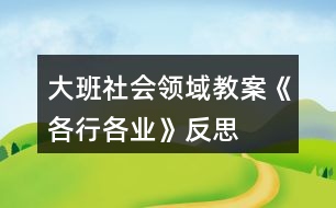 大班社會(huì)領(lǐng)域教案《各行各業(yè)》反思