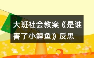 大班社會教案《是誰害了小鯉魚》反思