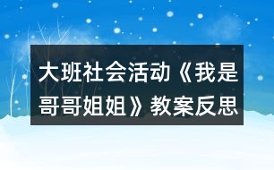 大班社會(huì)活動(dòng)《我是哥哥姐姐》教案反思