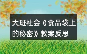 大班社會《食品袋上的秘密》教案反思