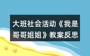 大班社會(huì)活動(dòng)《我是哥哥姐姐》教案反思