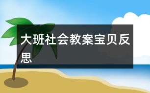 大班社會(huì)教案寶貝反思