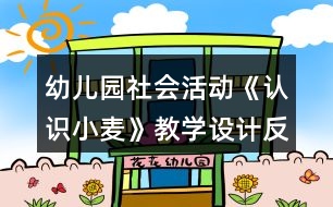 幼兒園社會活動《認識小麥》教學(xué)設(shè)計反思