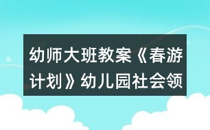 幼師大班教案《春游計劃》幼兒園社會領域活動