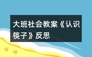 大班社會教案《認識筷子》反思