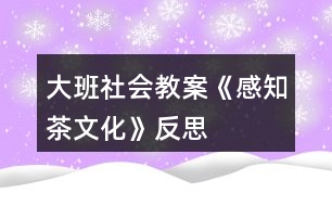 大班社會(huì)教案《感知茶文化》反思