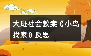 大班社會(huì)教案《小鳥找家》反思