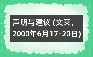 聲明與建議 (文萊，2000年6月17-20日)