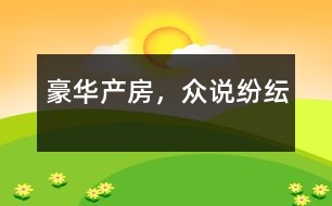 豪華產(chǎn)房，眾說紛紜