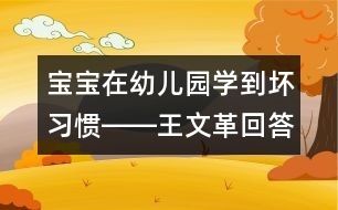 寶寶在幼兒園學到壞習慣――王文革回答