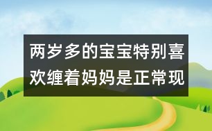 兩歲多的寶寶特別喜歡纏著媽媽是正?，F(xiàn)象