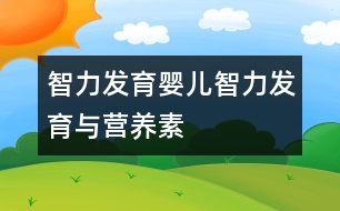 智力發(fā)育,嬰兒智力發(fā)育與營養(yǎng)素