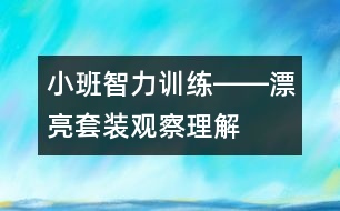 小班智力訓(xùn)練――漂亮套裝（觀察、理解、判斷、語言）