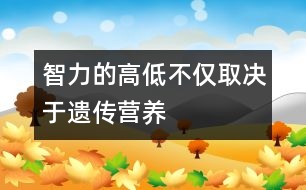 智力的高低不僅取決于遺傳、營養(yǎng)