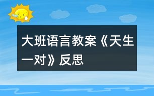 大班語言教案《天生一對》反思