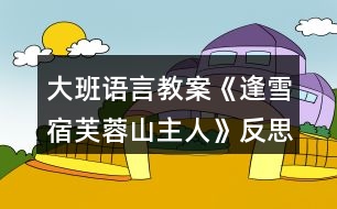 大班語(yǔ)言教案《逢雪宿芙蓉山主人》反思