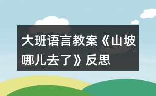 大班語言教案《山坡哪兒去了》反思