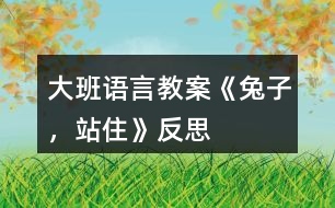 大班語言教案《兔子，站住》反思