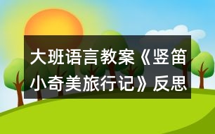 大班語(yǔ)言教案《豎笛小奇美旅行記》反思