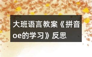 大班語言教案《拼音o、e的學(xué)習(xí)》反思